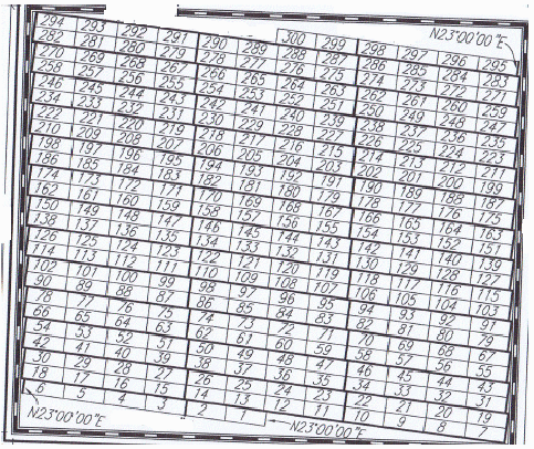 wadi us salaam layout